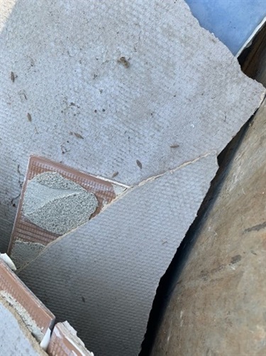 Asbestos_in_bins.jpg