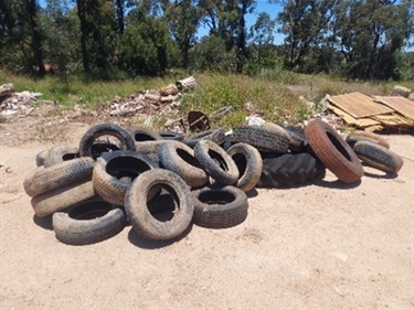 Illegal_dumping_of_tyres.jpg