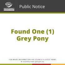 05 06 23 Found one grey pony