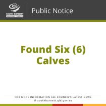 09 06 23 Resized public notice found six calves