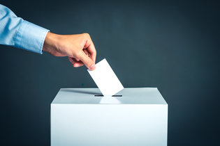 ballot, vote, ballot box, local government election, election