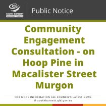 Community Engagement - Consultation on Hoop Pine in Macalister Street Murgon